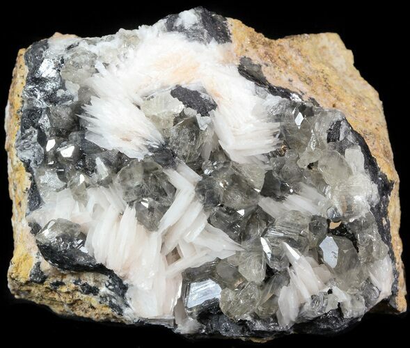 Cerussite Crystals with Bladed Barite on Galena- Morocco #44782